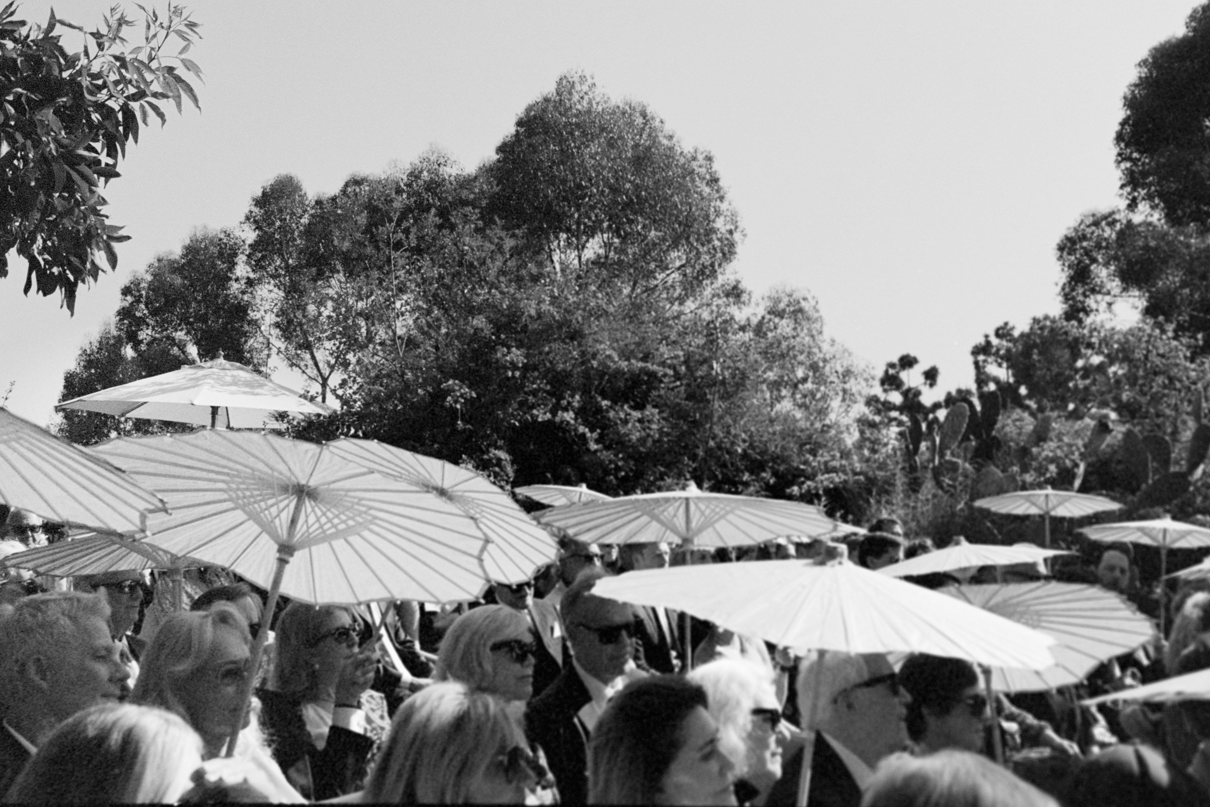 Wedding ceremony guests holding parasols watching a wedding ceremony