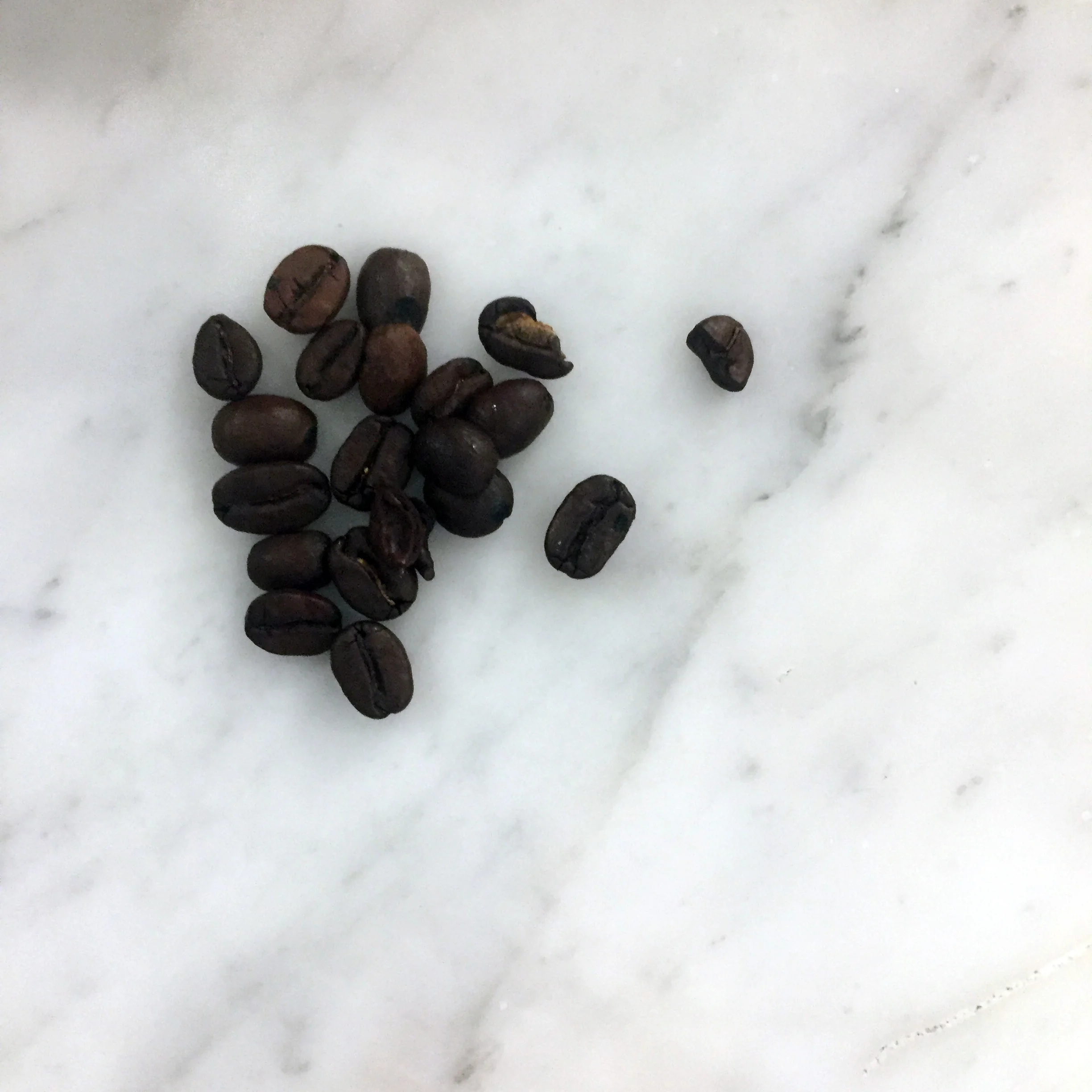 beans_1.jpg