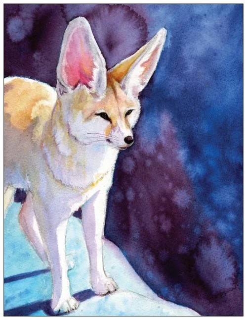 02FennecStudy2.jpg