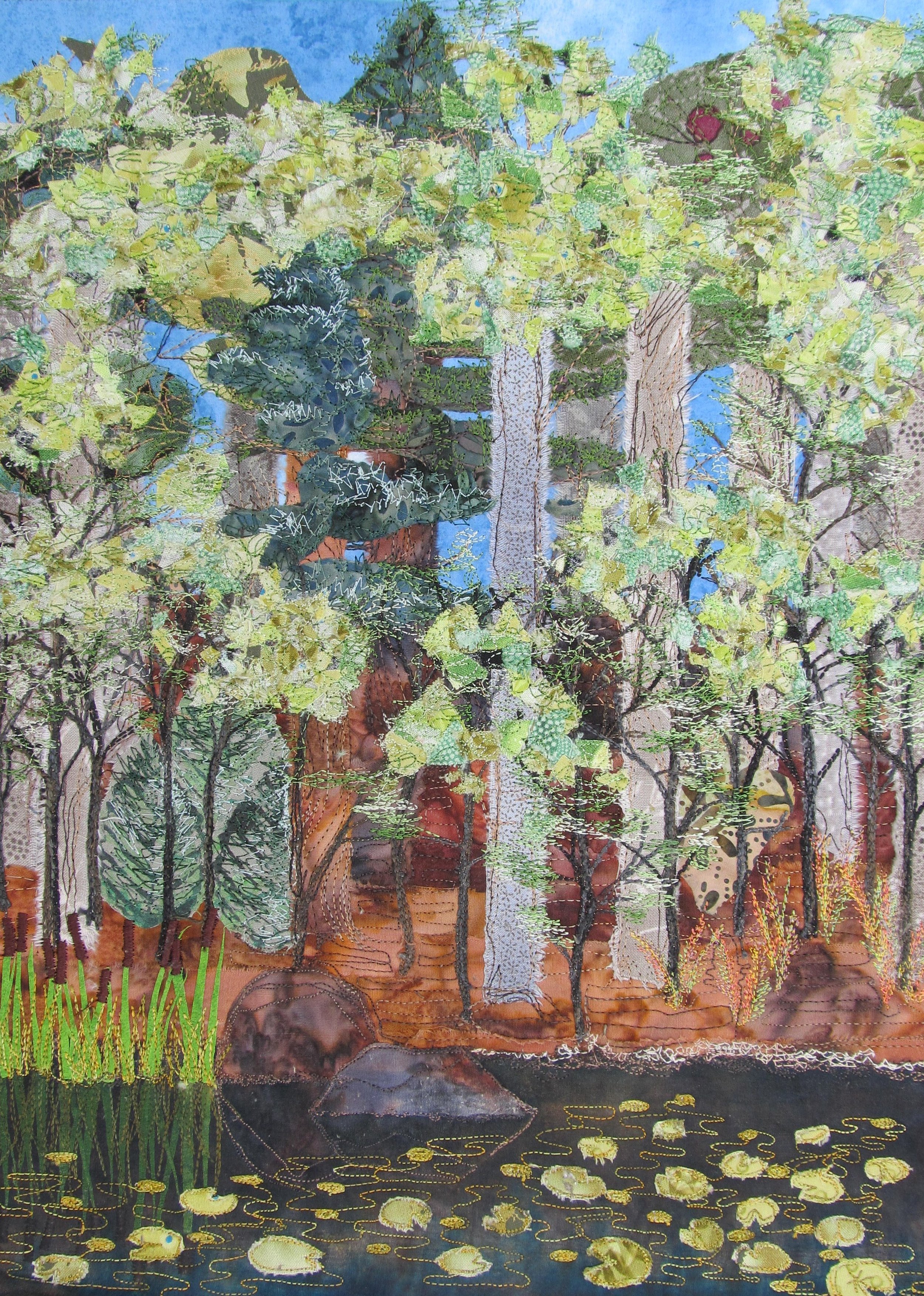 pond in summer, lily pads.JPG