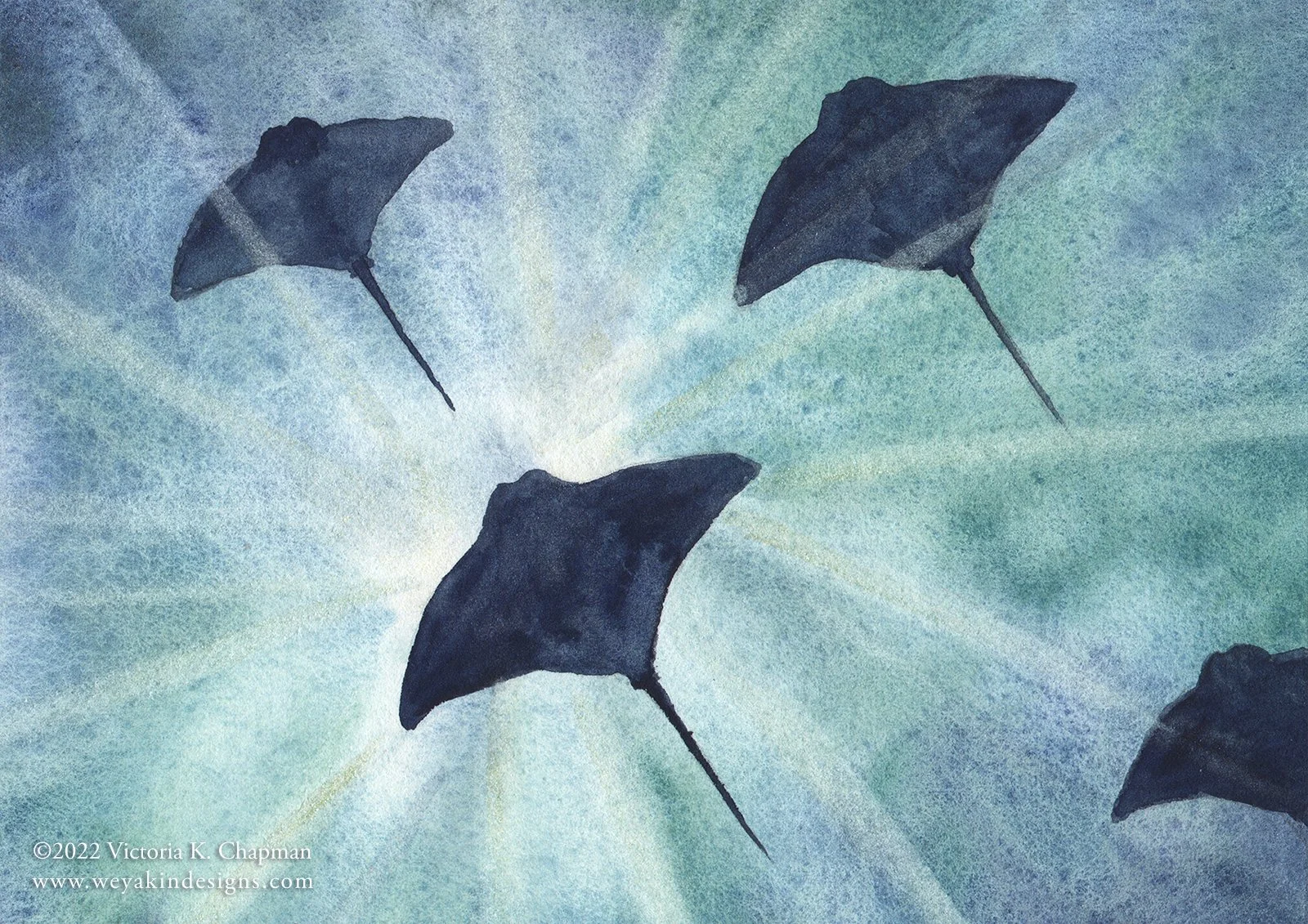 vkchapman_rays-of-light_card-front_2023-WEB.jpg