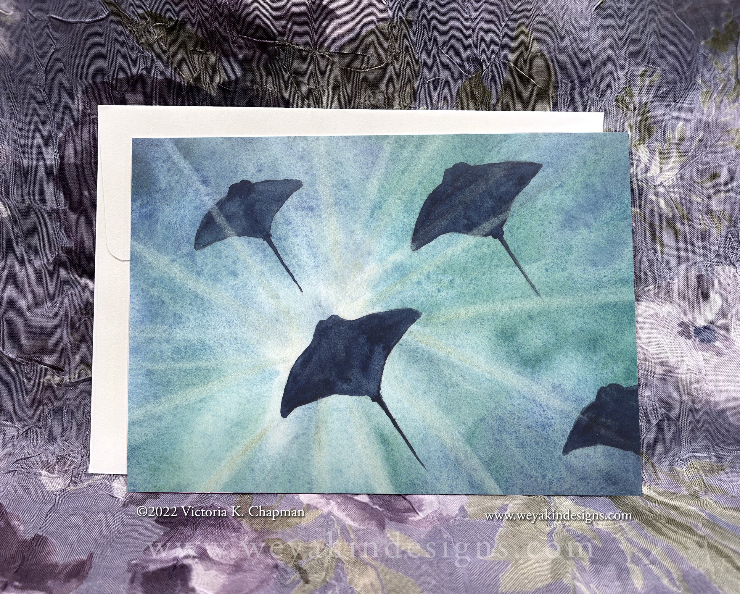 vkchapman_rays-of-light_card-2023_WEB.jpg
