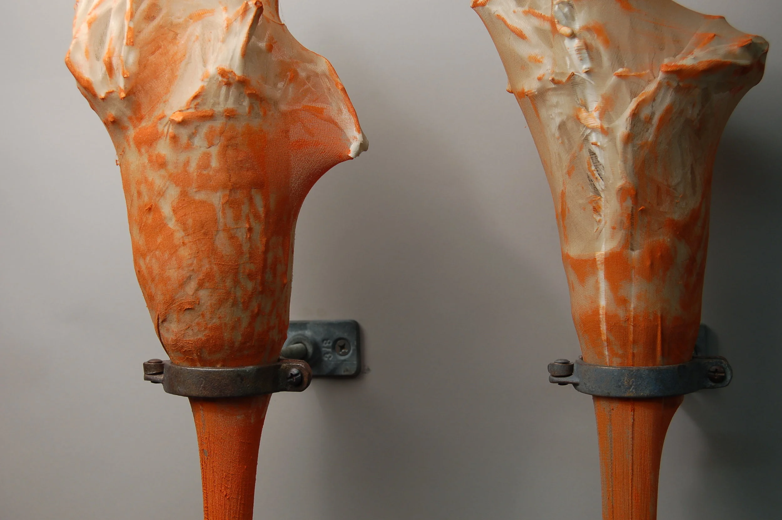 Not merely escaped- DETAIL1.JPG