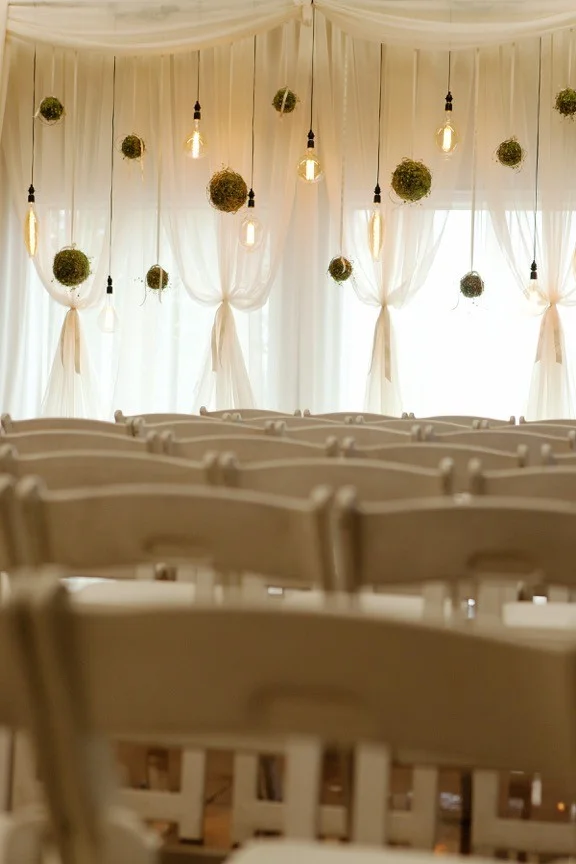 backdrop close up.1.jpg