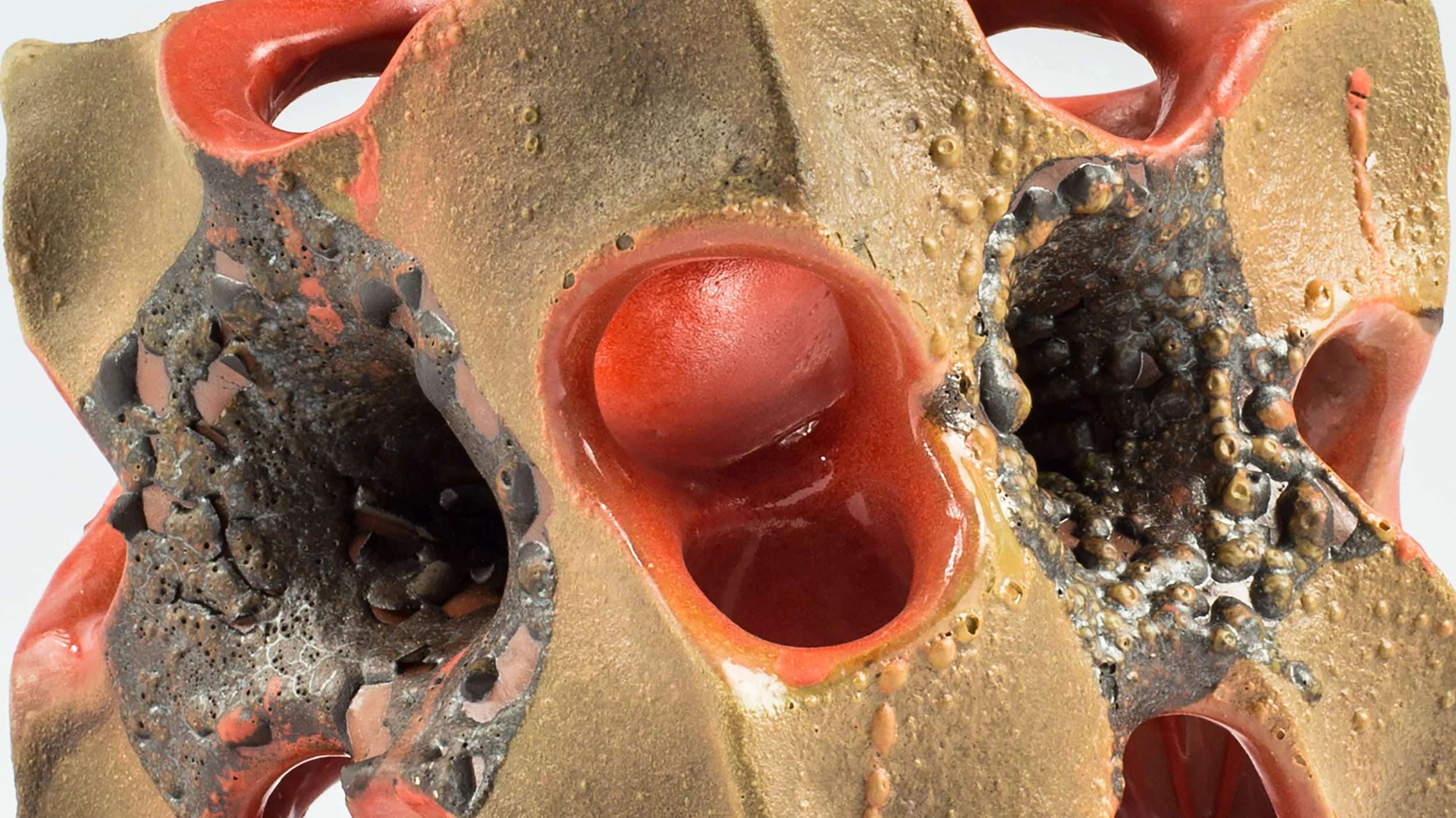 9_closeup_3206.jpg