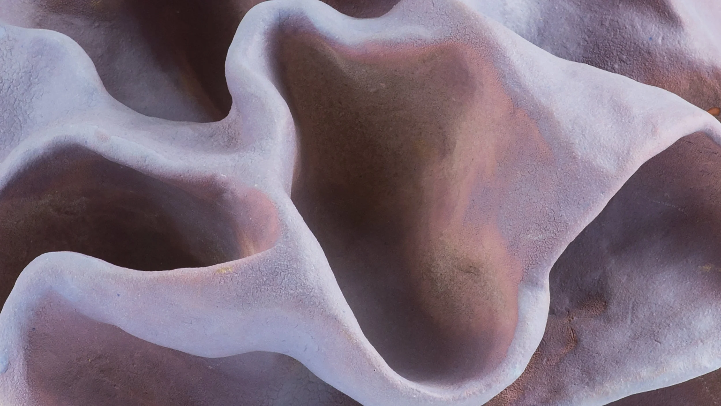 5_closeup_4023.jpg