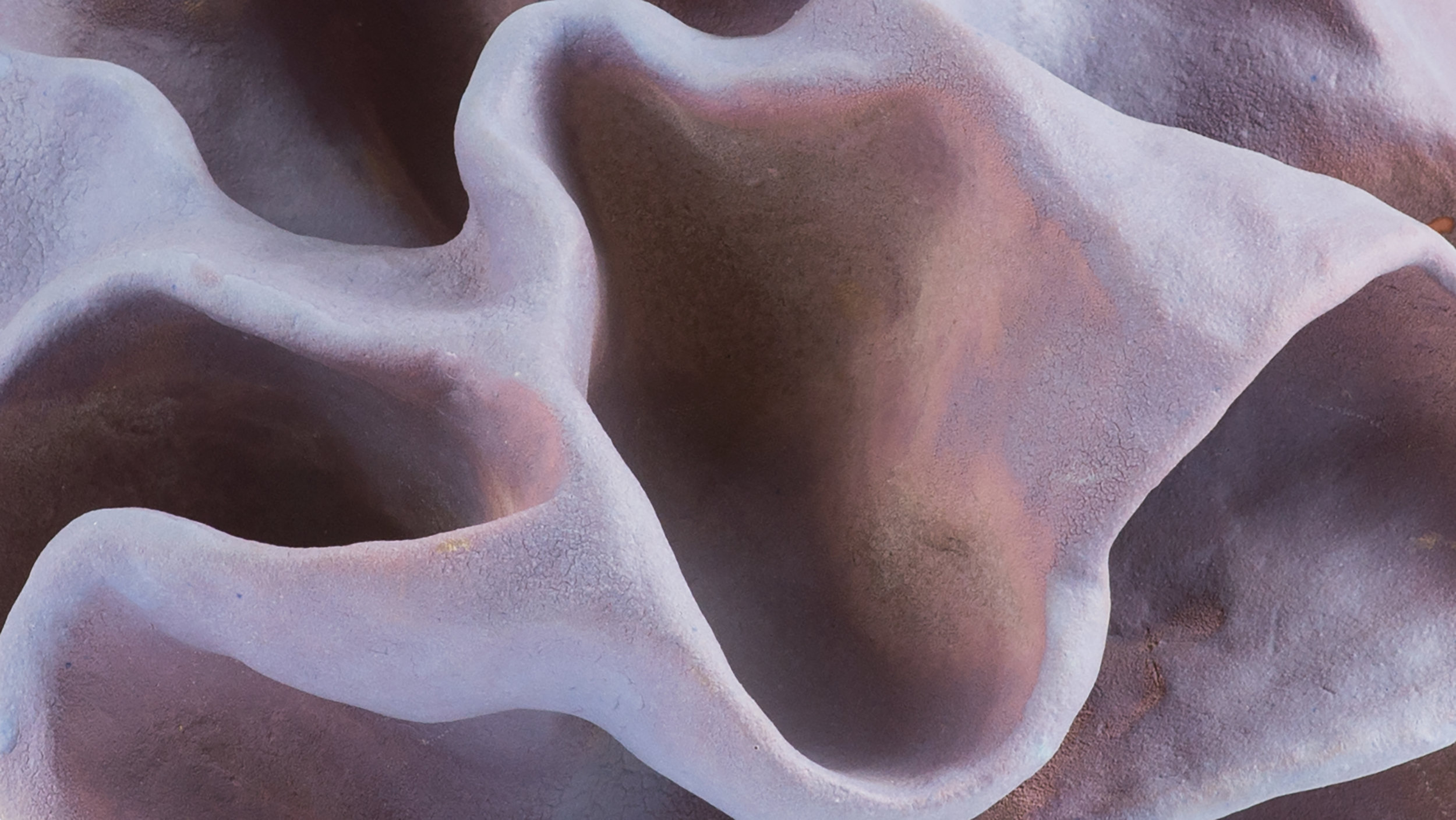 5_closeup_4023.jpg