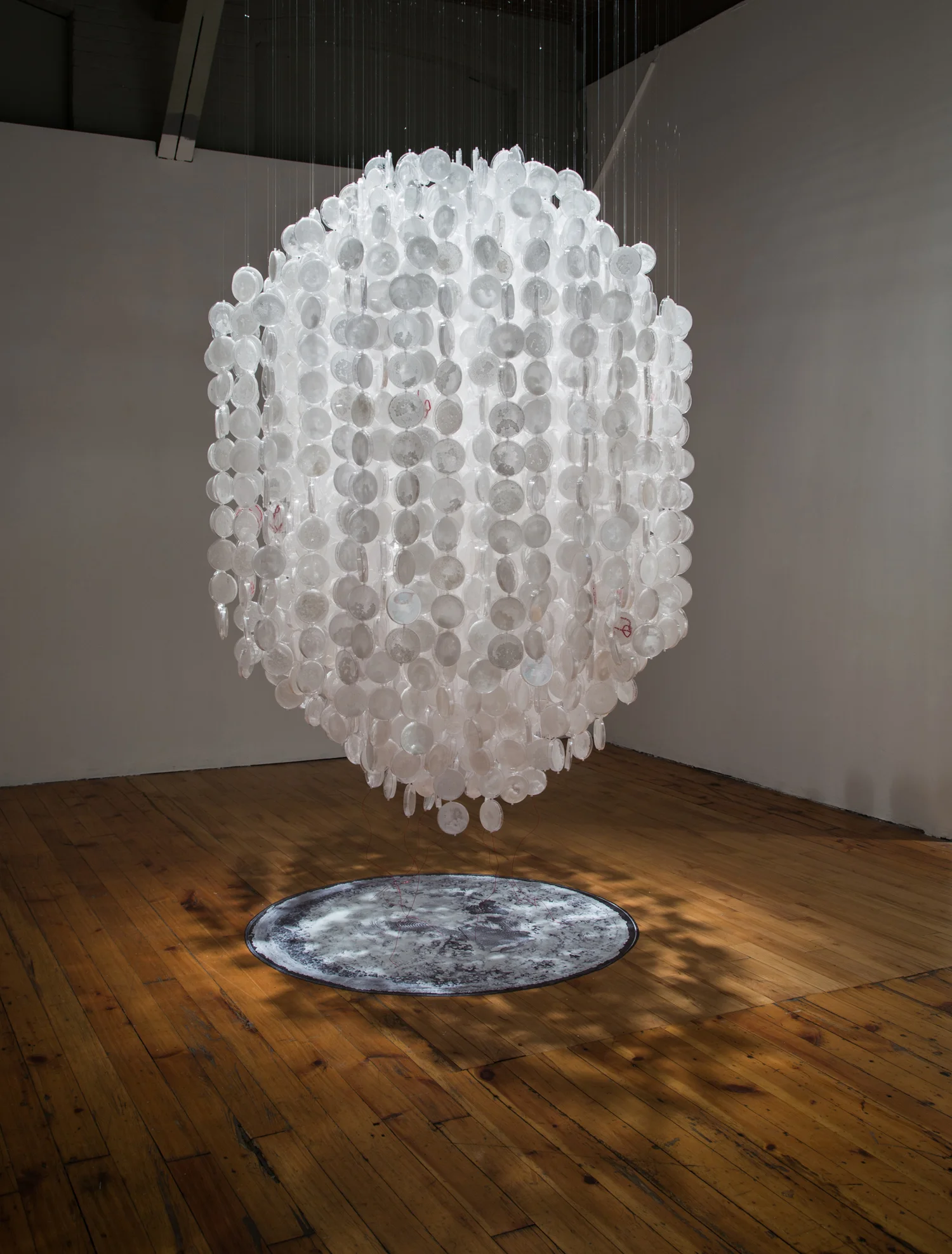 Shiver 2 300 petri dishes, grown salt crystals, wool, fishing wire, vinyl print, pipette tips, wire 8.5’ x 5’ x 5’ 2015