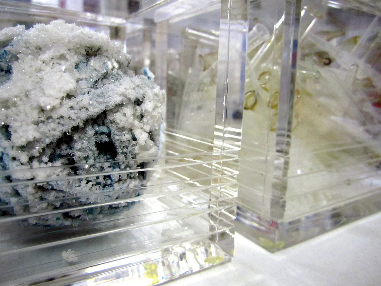Microbes, Tools and Transmitters Acrylic boxes with mixed media. Variable sizes 2013