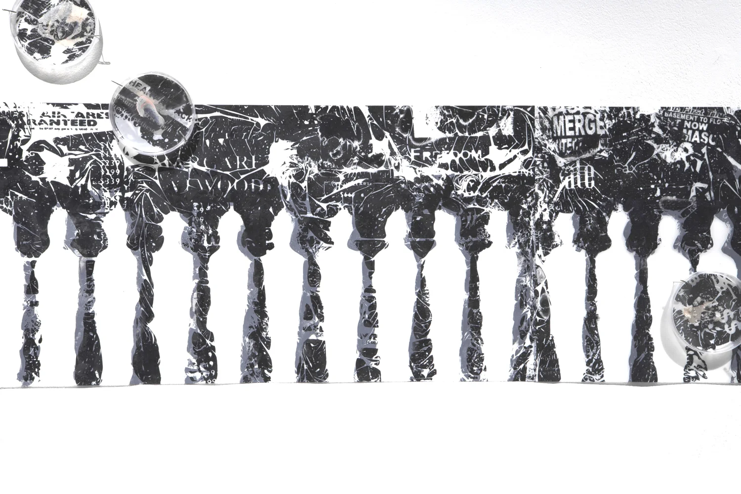 Freedom Fax carbon, mylar, petri dishes, halobacteria 24" x 72" 2012
