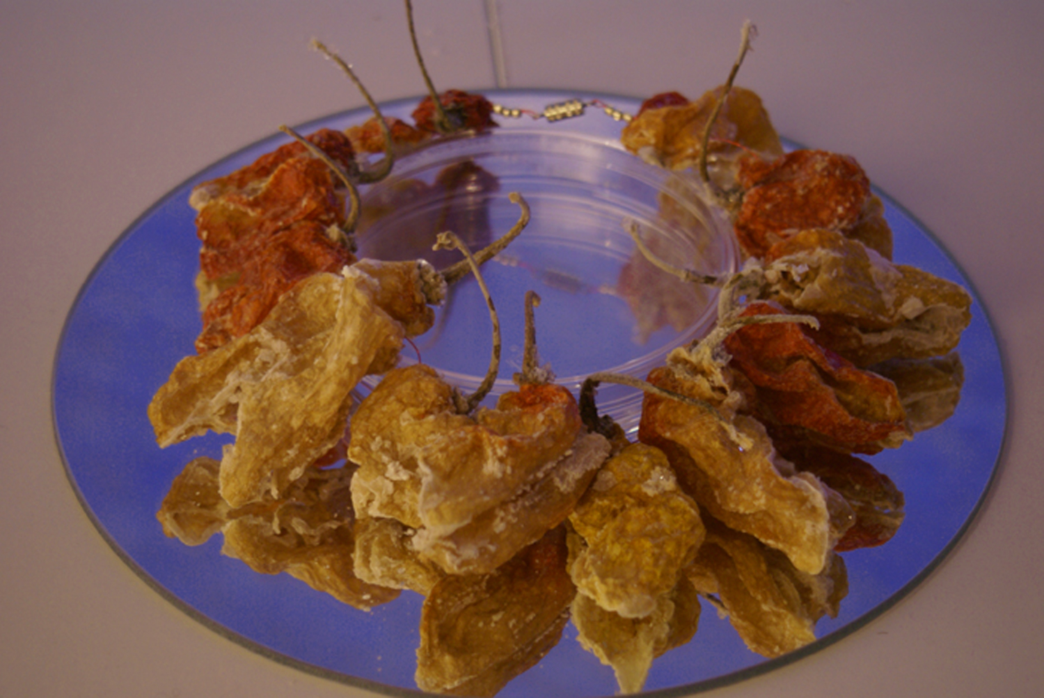 Ward Off Ware - detail Grown salt crystals on dehydrated peppers with mirror 36" x 9" x 1" 2007