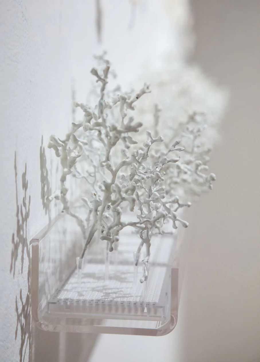 Contained - Fragile Forest (detail 3).jpg