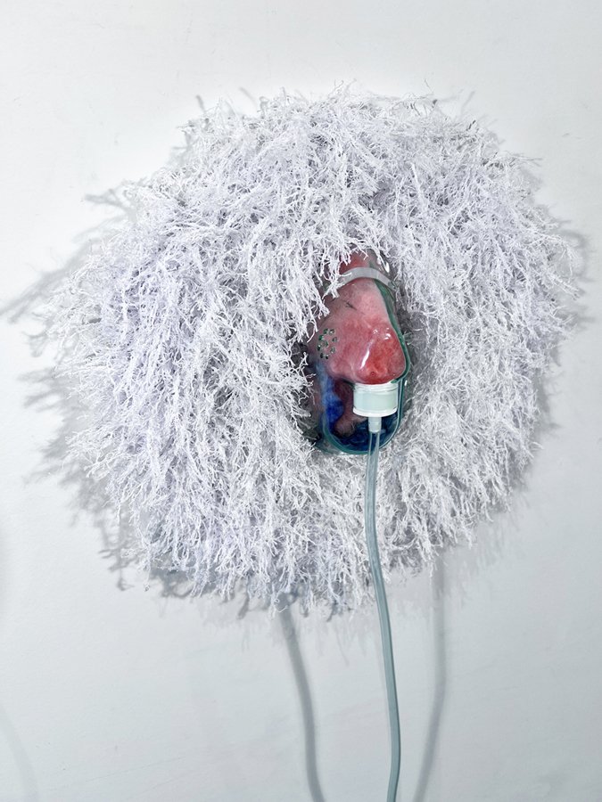 Variants (detail 1).JPG