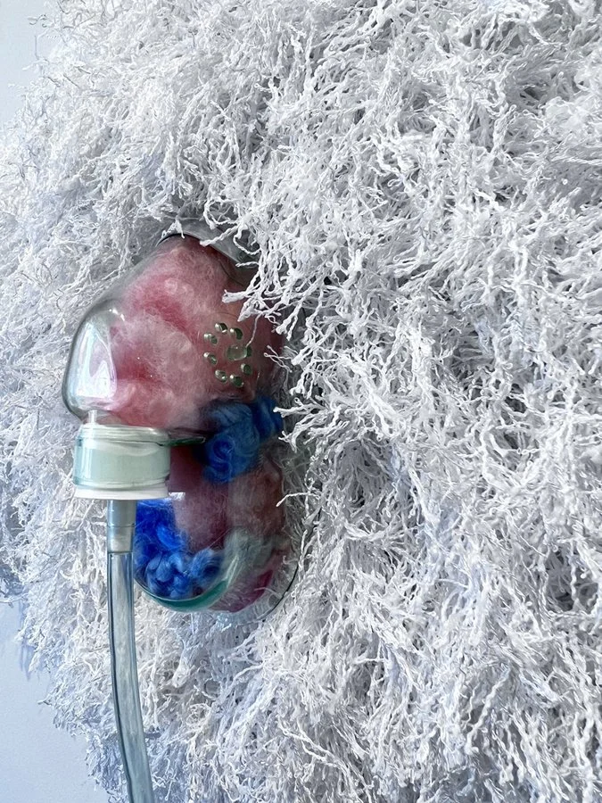 Variants (detail 2).JPG