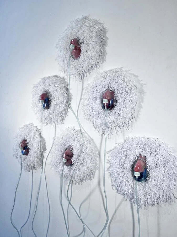 Variants (studio).JPG