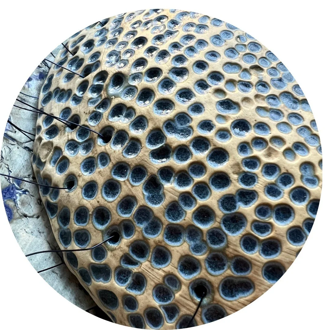 Salt Harvest 2 Ceramics.jpg