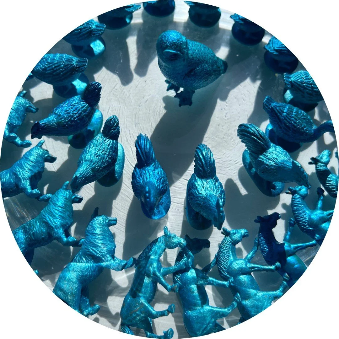 Untitled design (52).jpg