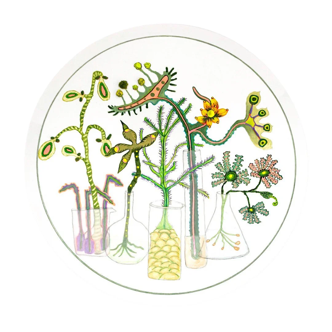 Teri Donovan Fresh From the Lab 2 (1)-02.jpg