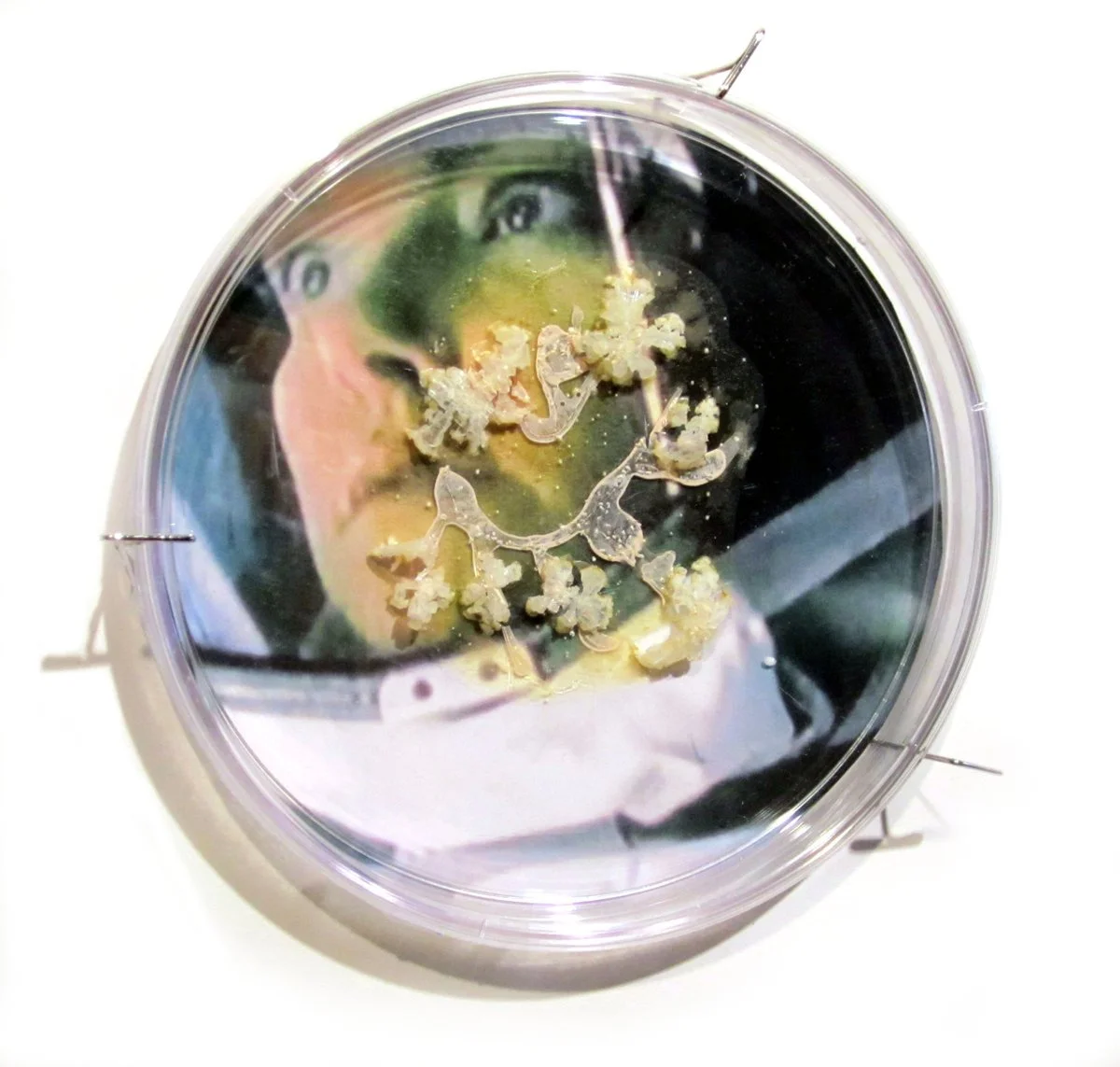 I Caught it at the Movies -Andromeda Strain.jpg