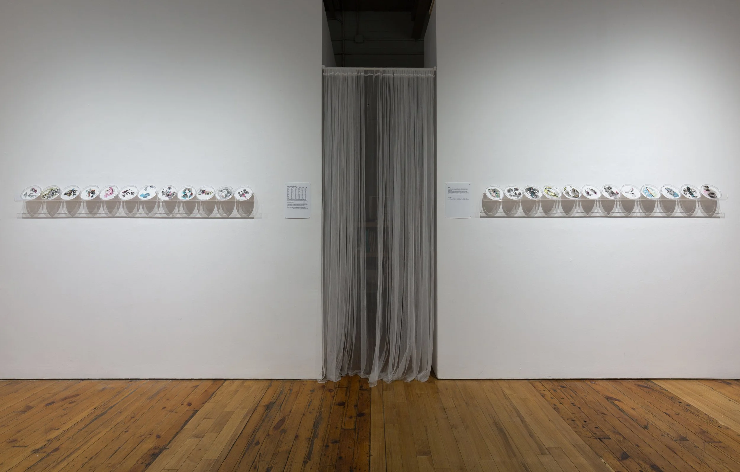 Spawn (installation view).jpg