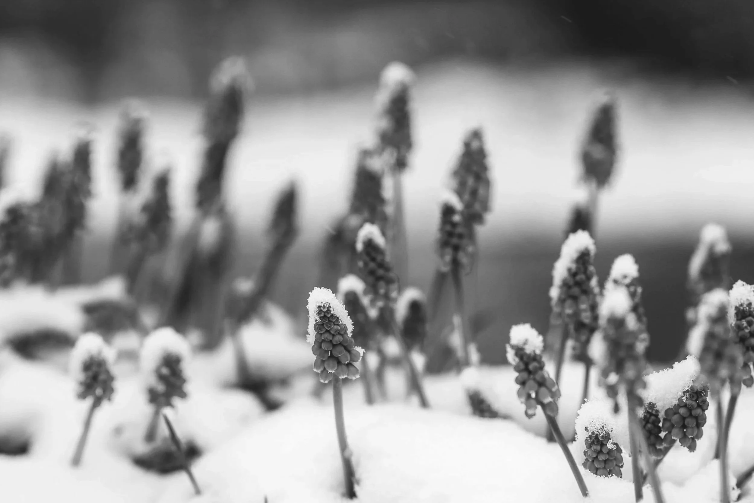 Where to Start When You’re Starting a Small Business