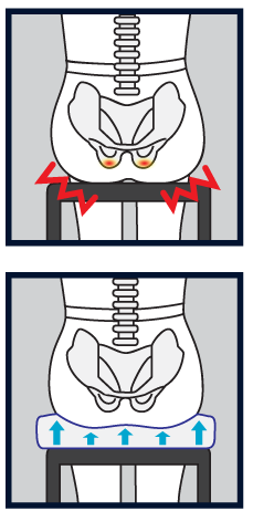 eze-back-cool-spine.png