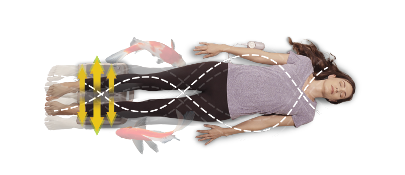 lymph-2.png