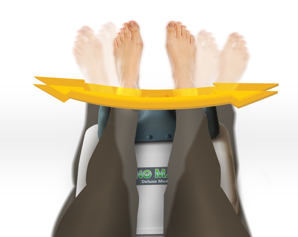 SMaster-fishMotion-FrontView.png