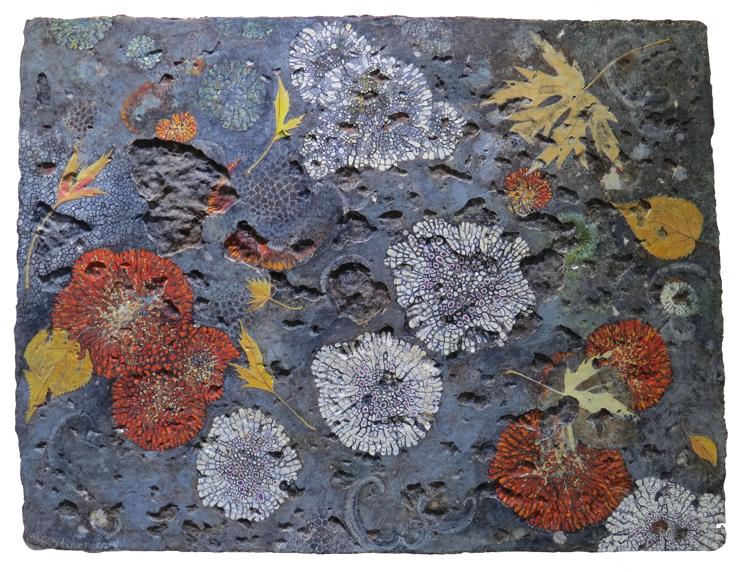 Autumn pavement with lichens (on textured paper) - MC Stiner