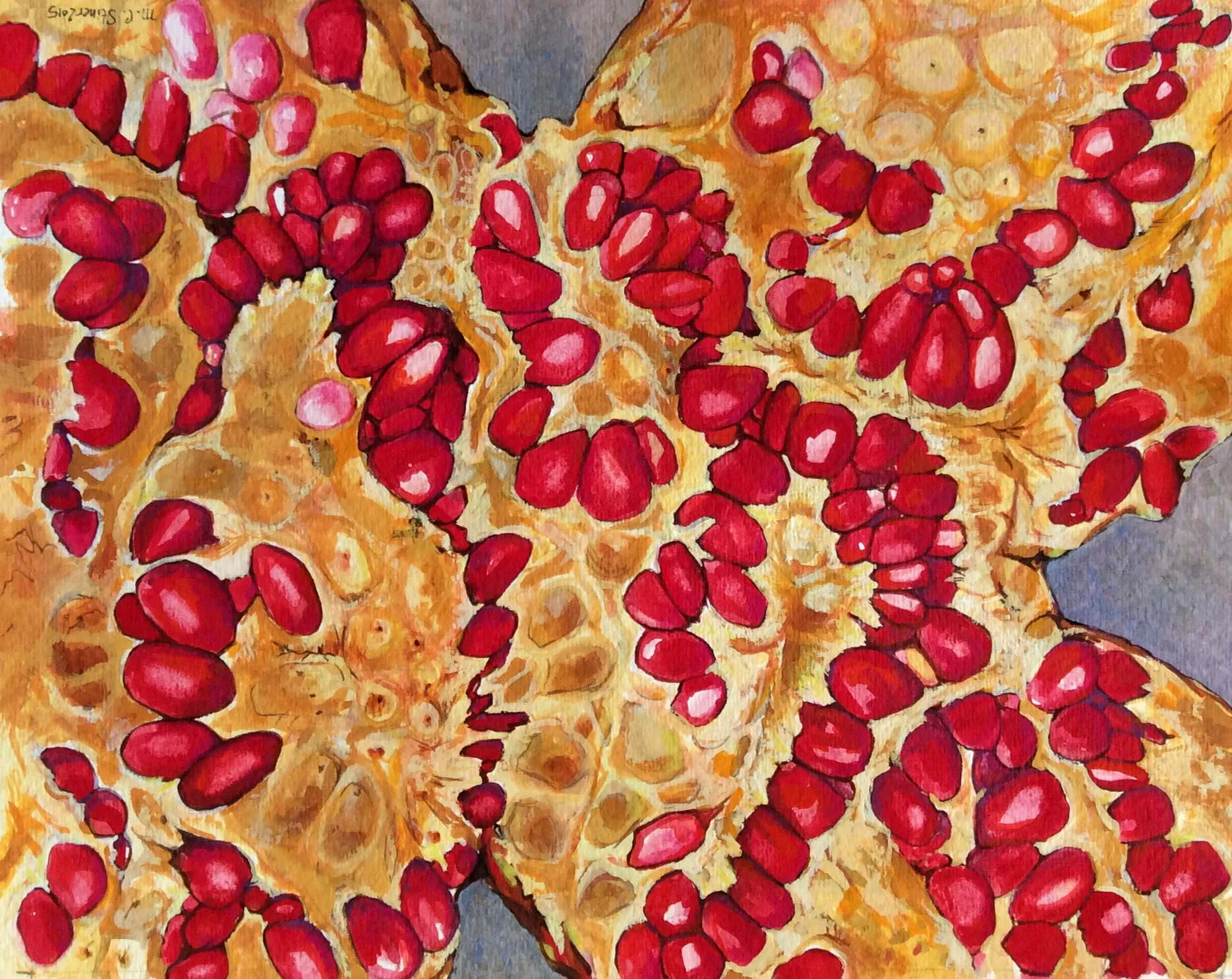 Exploded pomegranate up close - MC Stiner