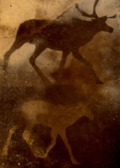 caribou placque 2 MCS 1977.jpg