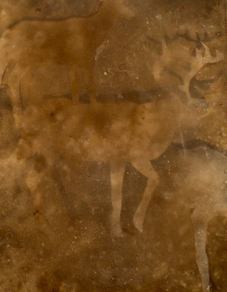 caribou placque 1 MCS 1977.jpg