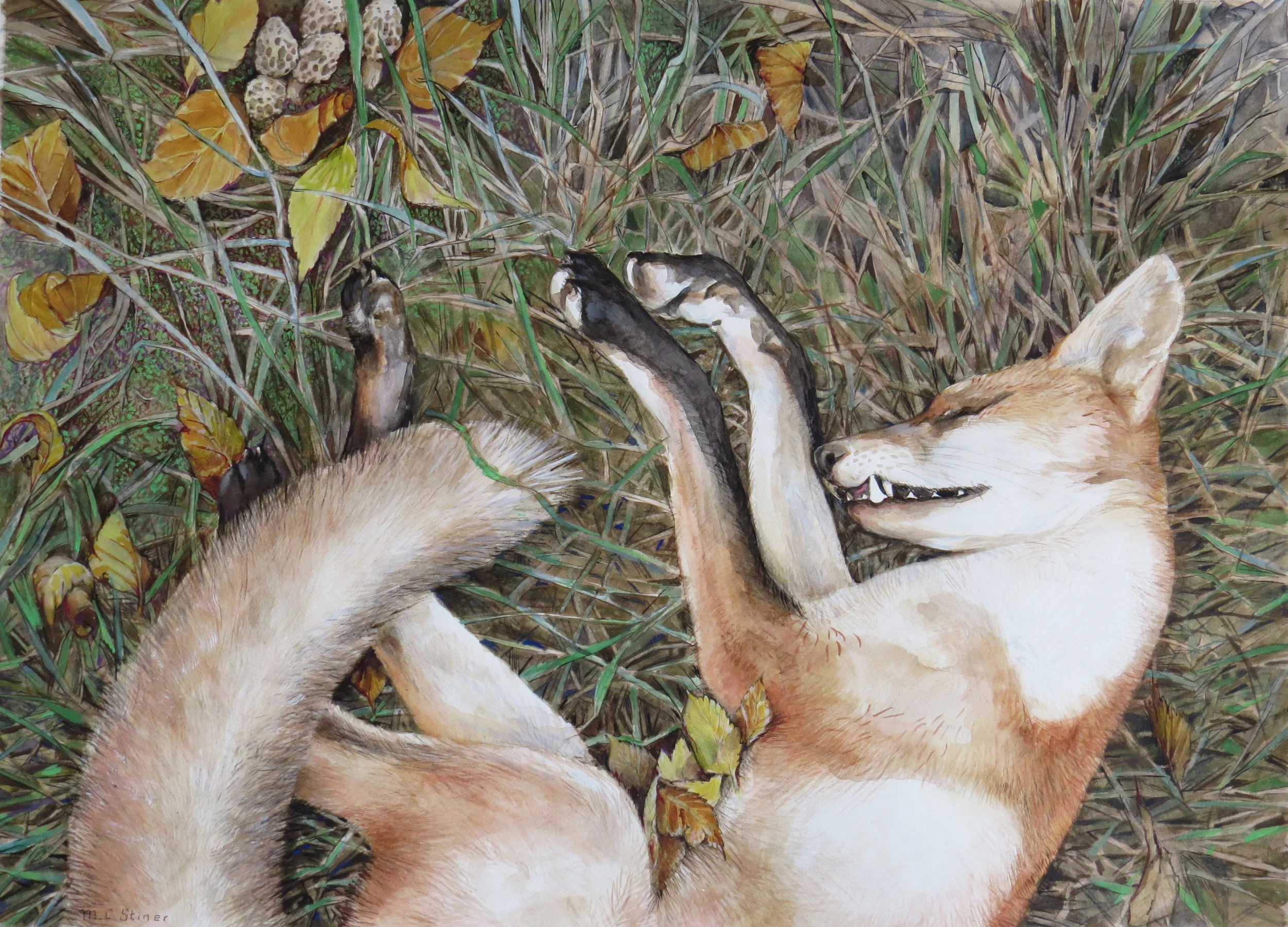 Young life lost - MC Stiner