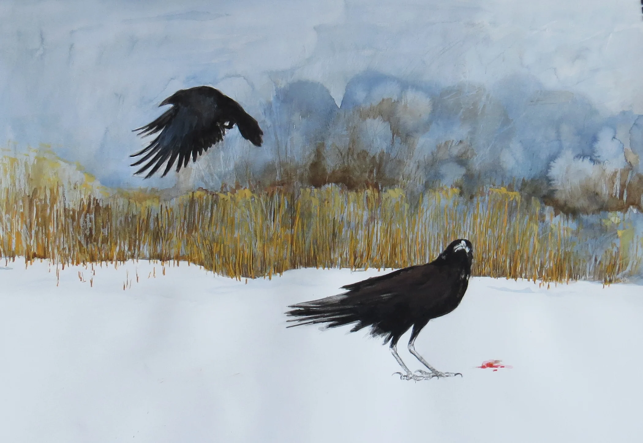 Crows on snowfield - MC Stiner