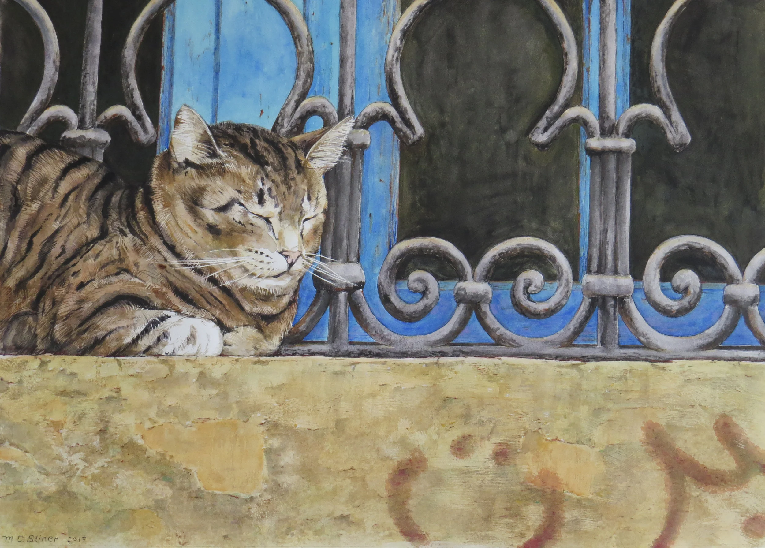 Moroccan window with cat (Rabat) - MC Stiner