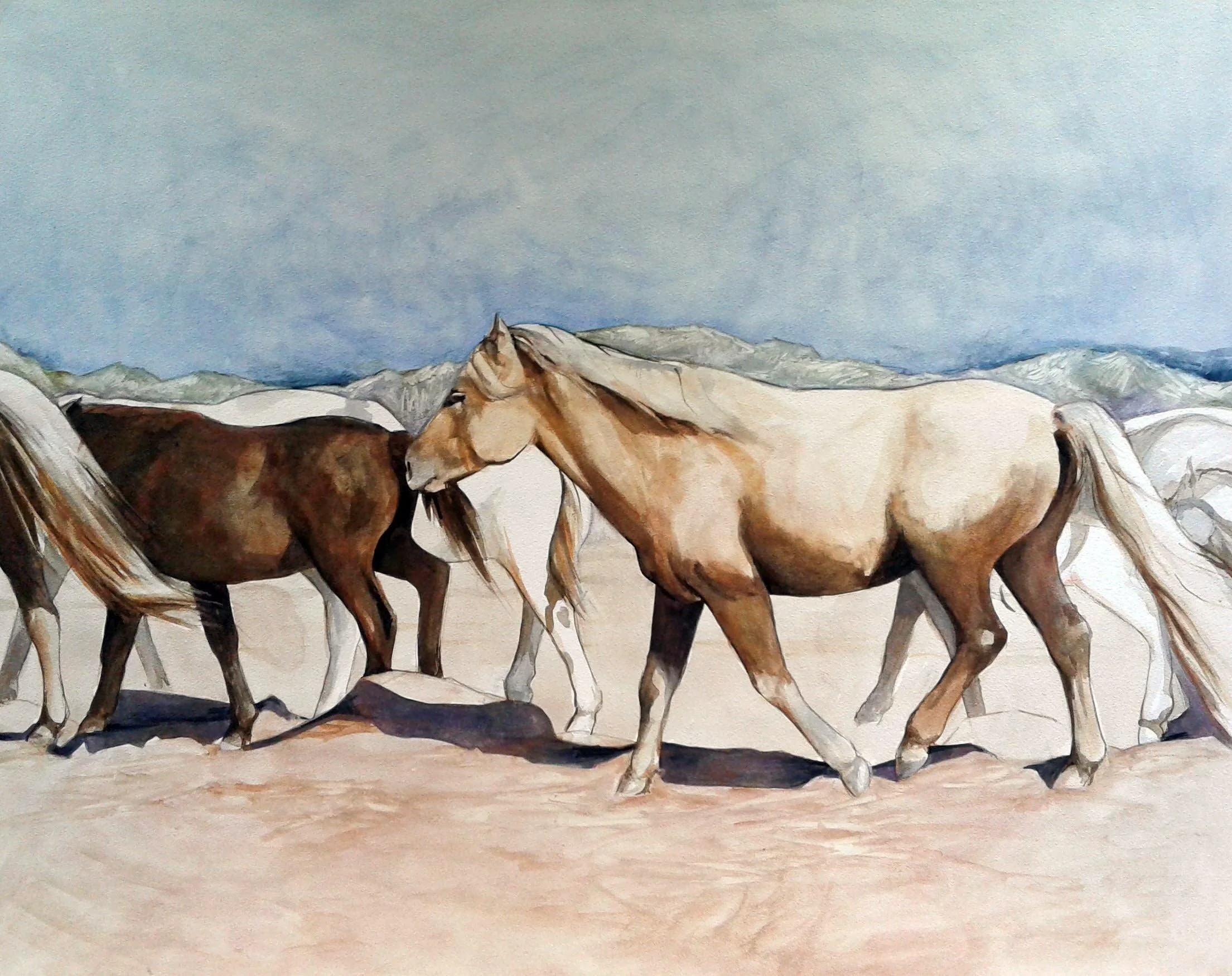 Mongolian horses (1)