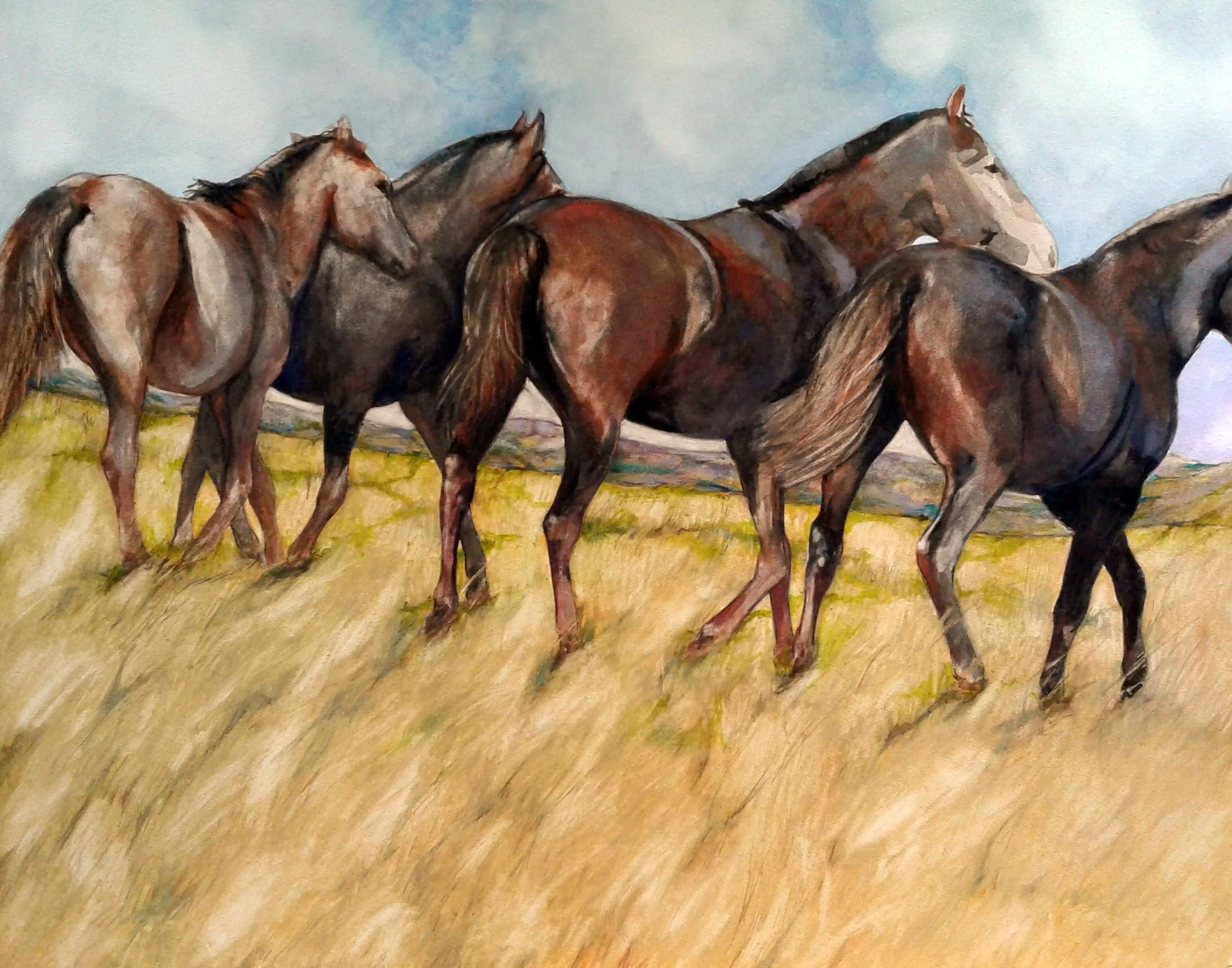 Mongolian horses (2)