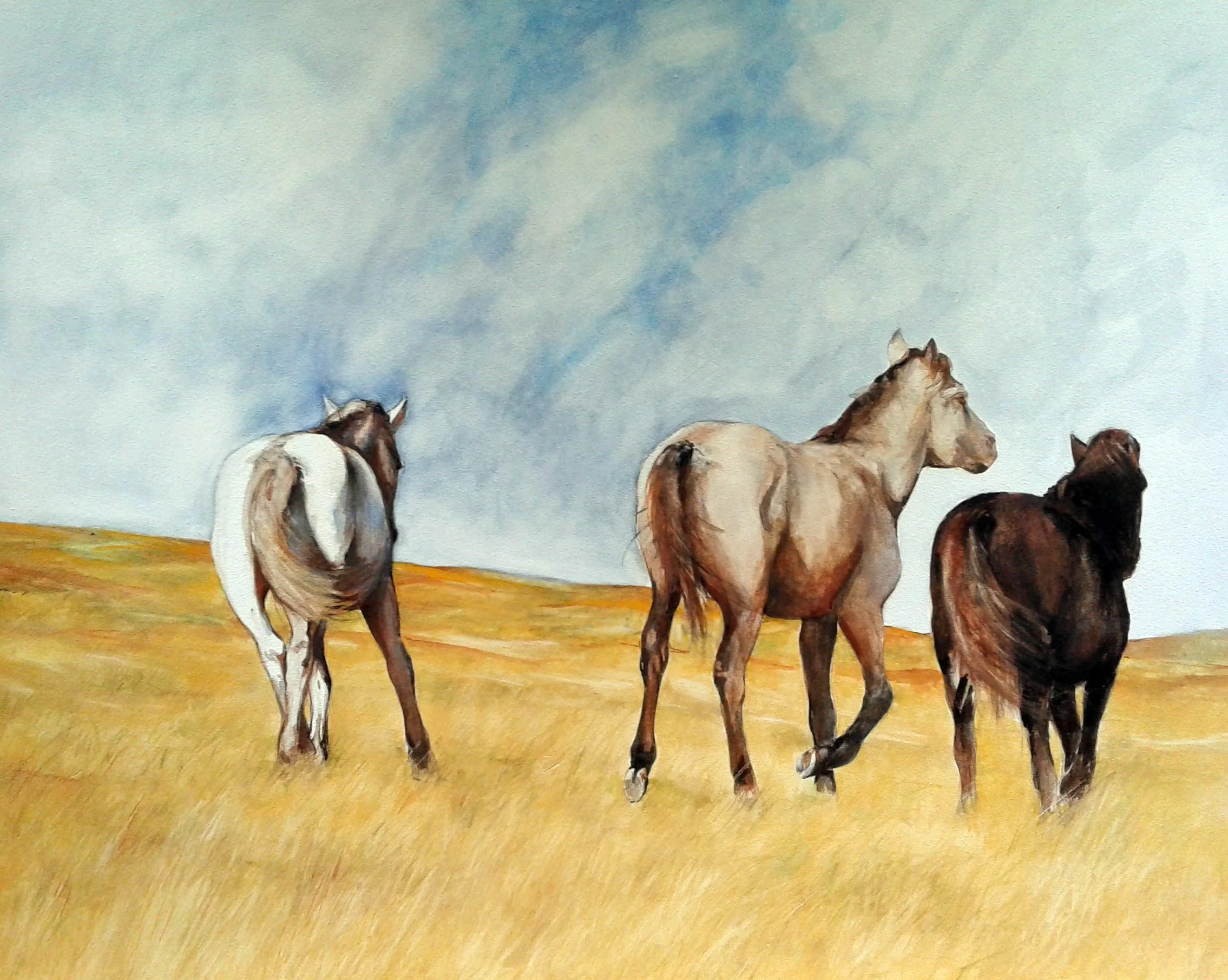 Mongolian horses (3)