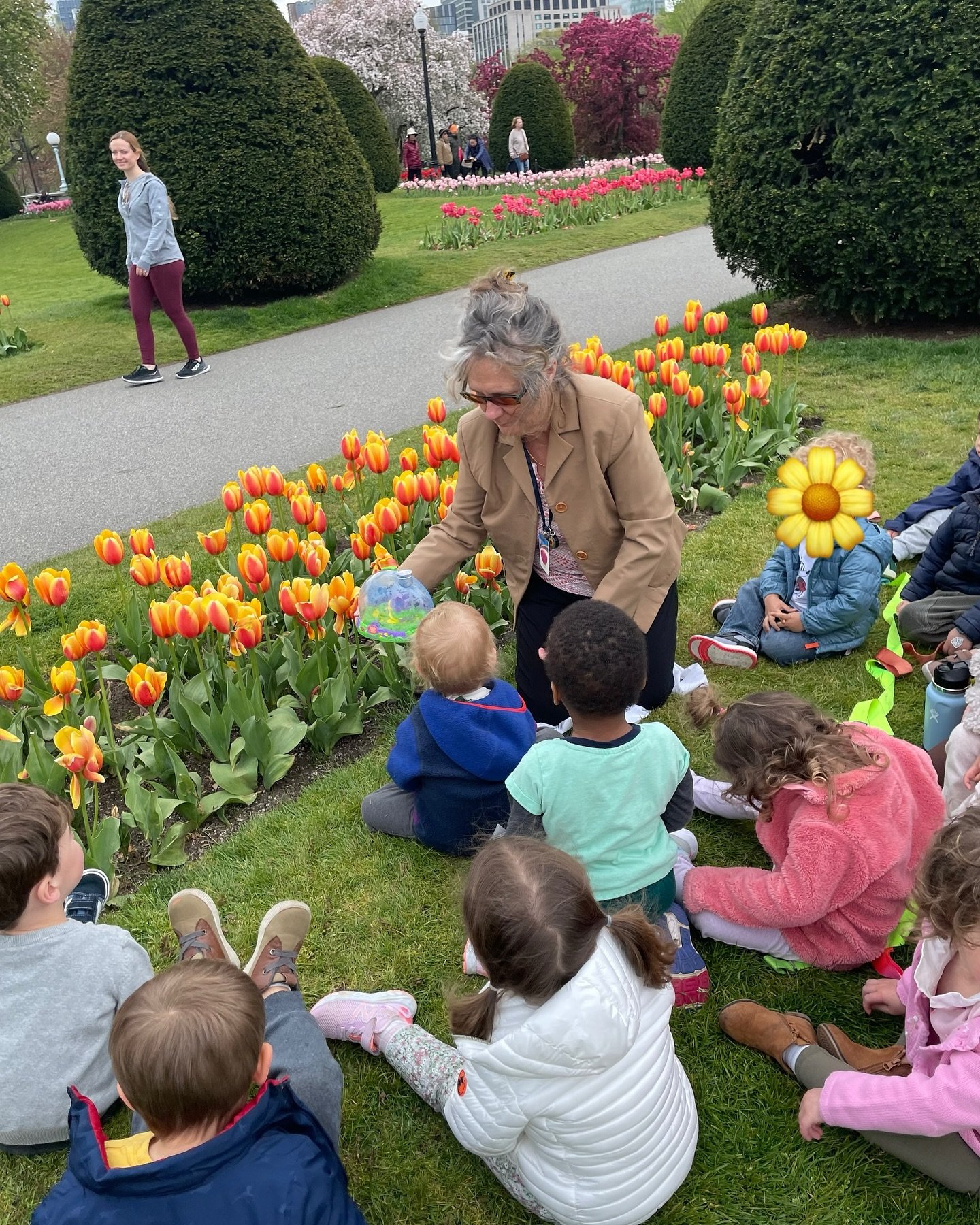 Torit students are back at the Boston Public Garden today! 🐞Today, our toddler classes released ladybugs into the beautiful blooms of our favorite neighborhood garden. From the intricacies of a ladybug&rsquo;s wings to the vast ecosystem of the Bost