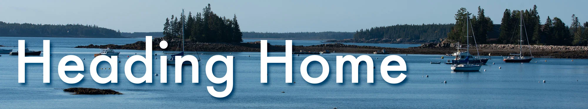 header.jpg