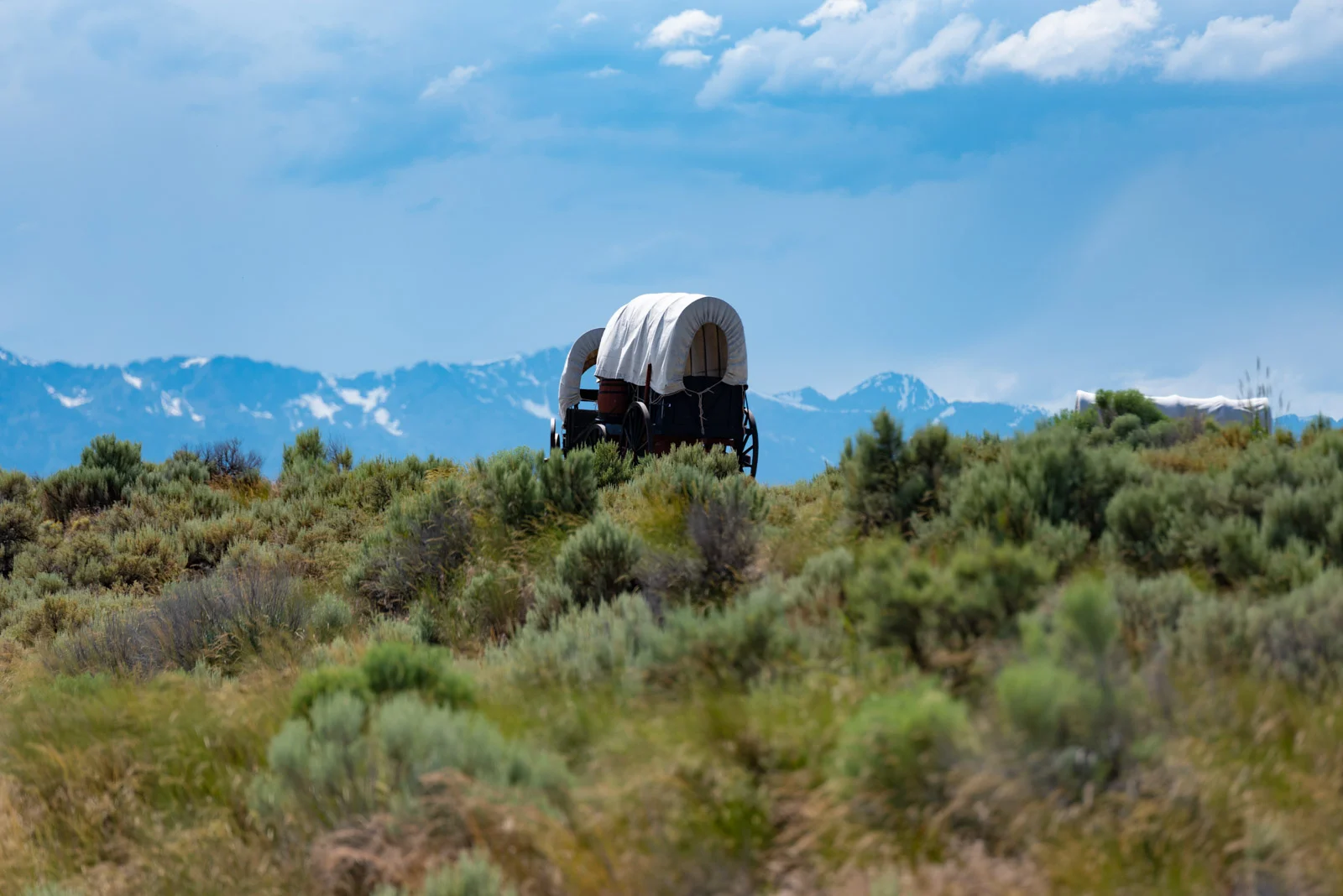 oregon-trail-exp-101.jpg