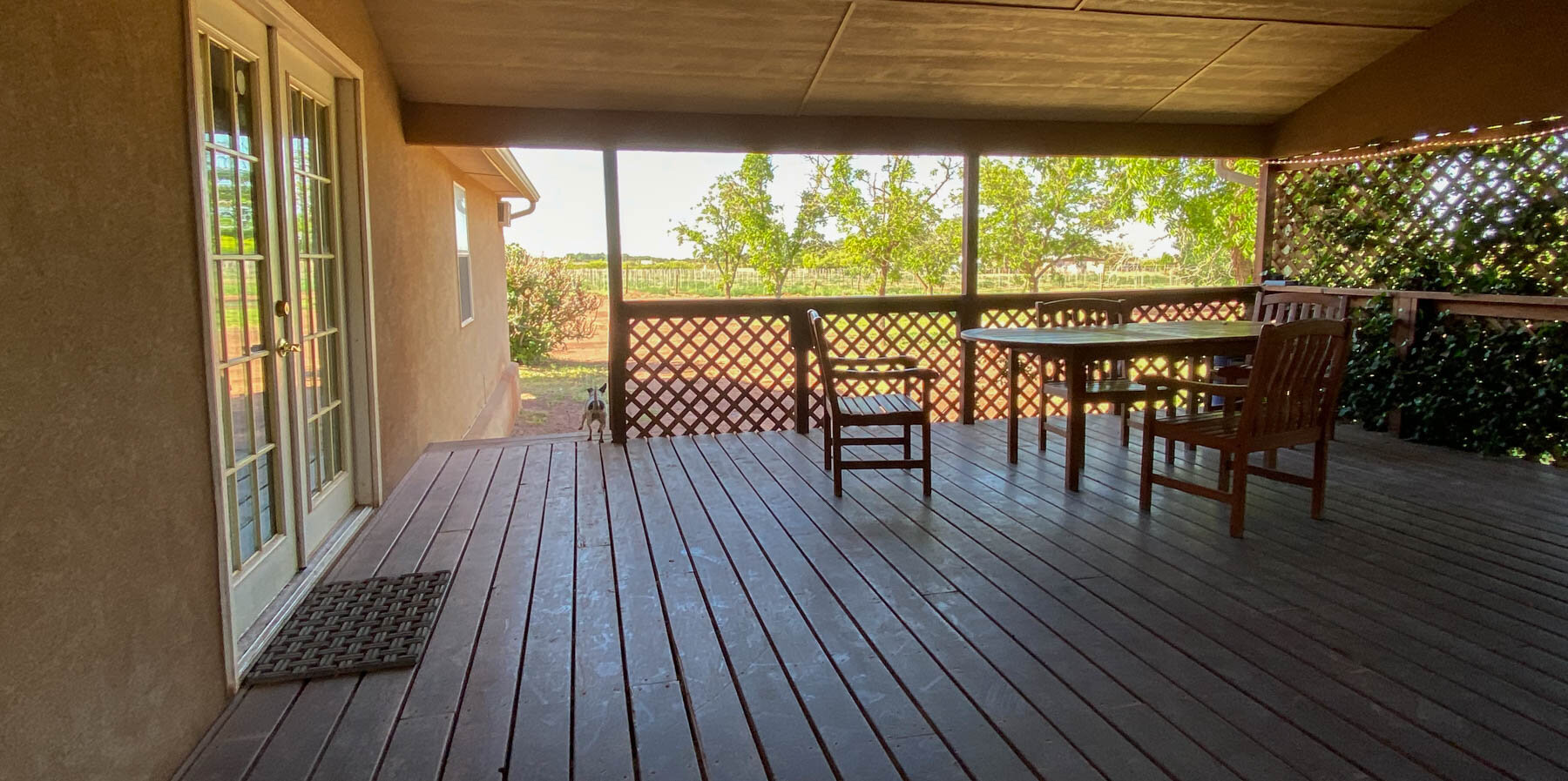  vineyard porch 