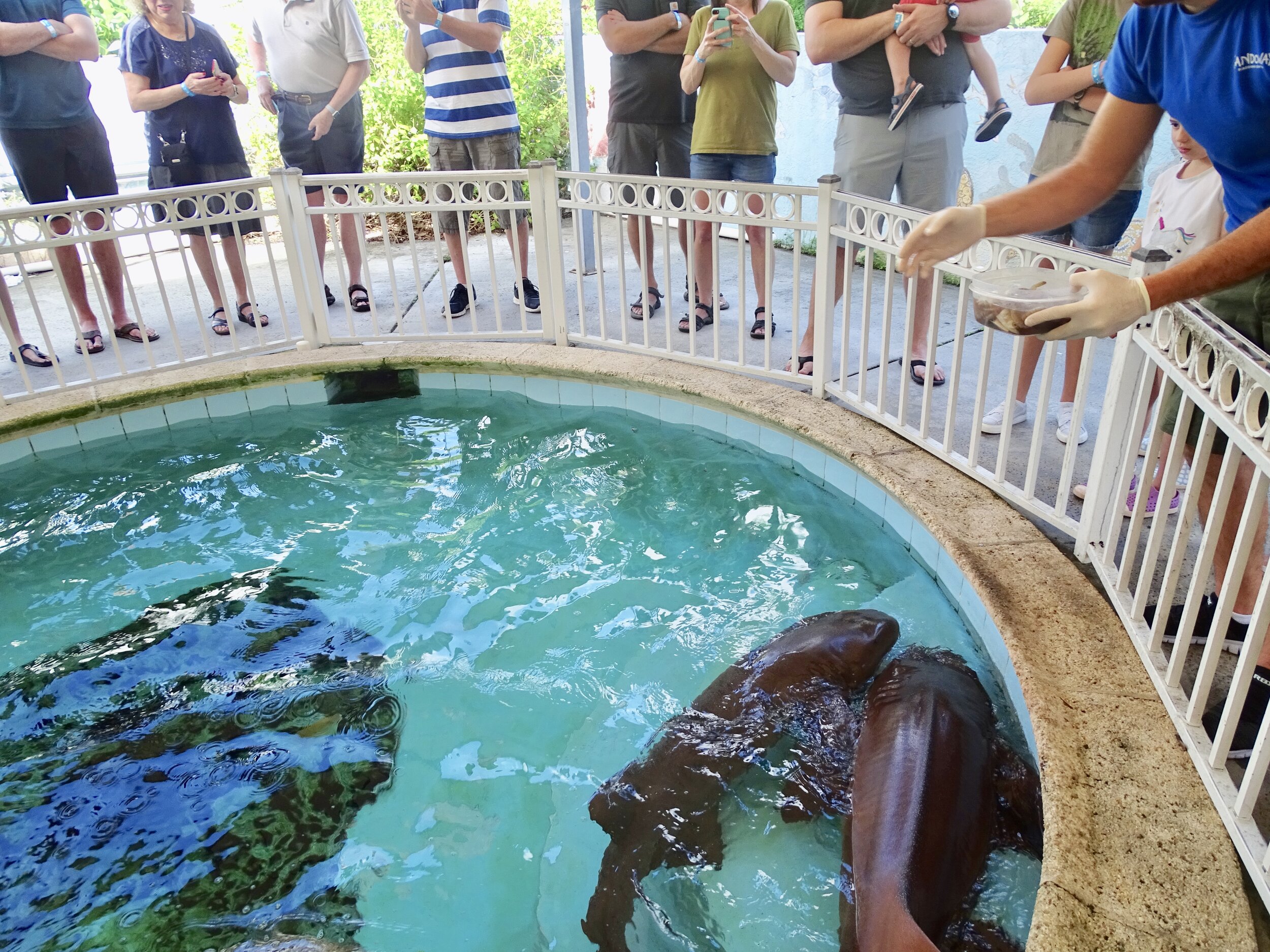 Sandoway Discovery Center in Delray Beach, FLA Coast2CoastWithKids