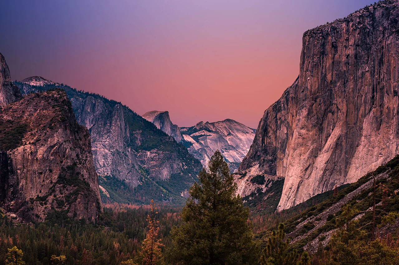 FAQs-Header.jpg
