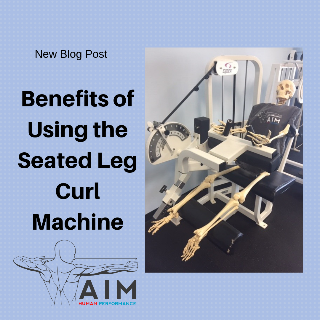 Benefits of Using the Seated Leg Curl Machine
