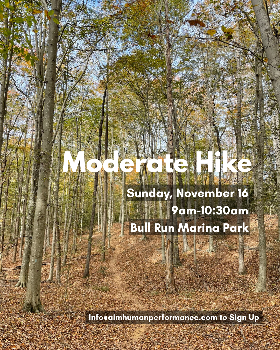 Moderate Group Hike
