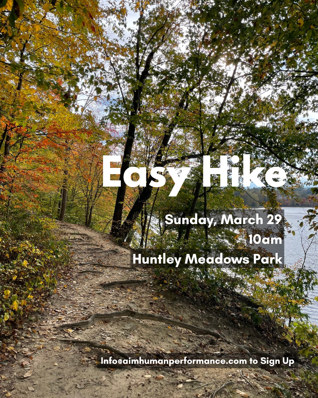 Easy Group Hike 