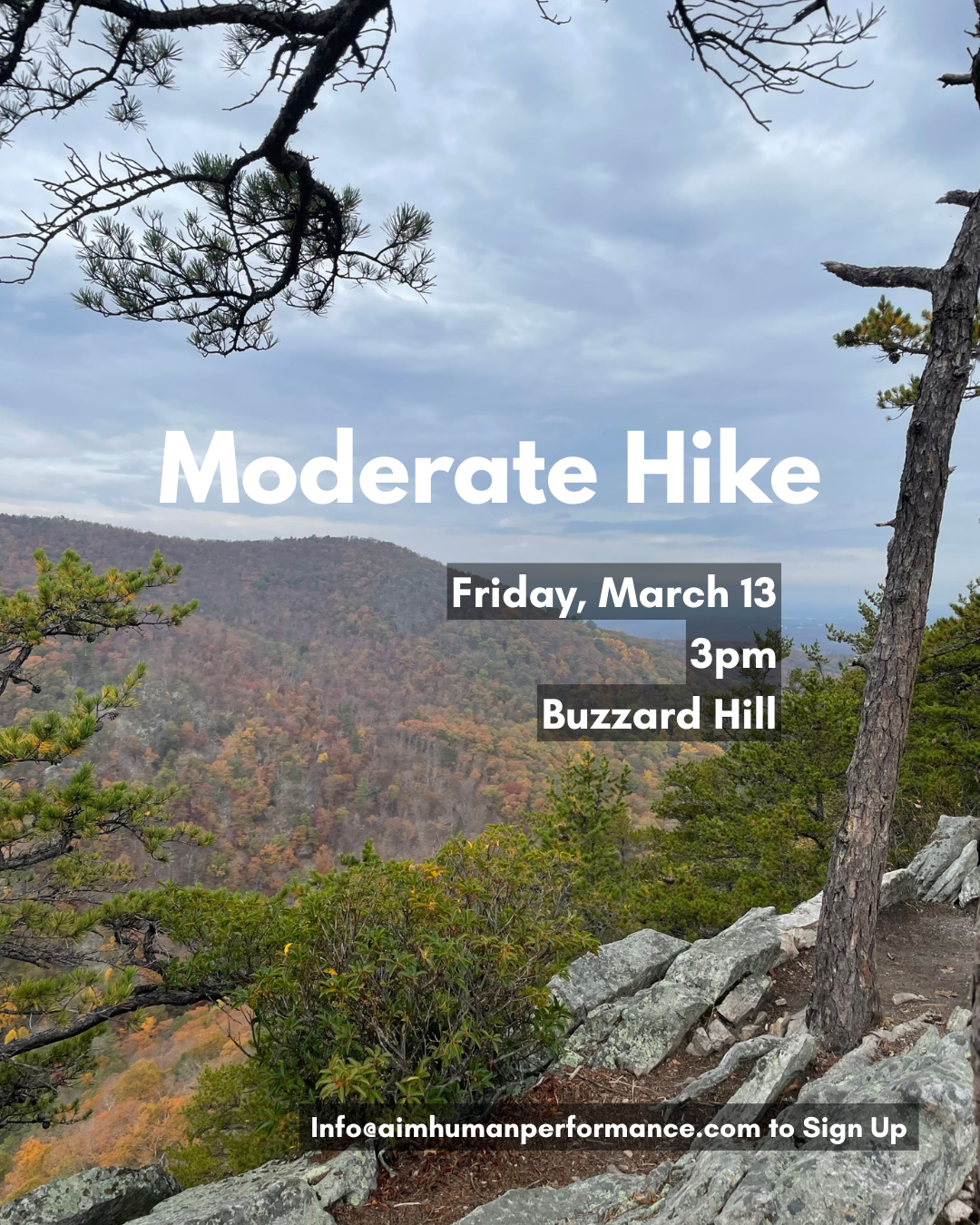 Moderate Group Hike