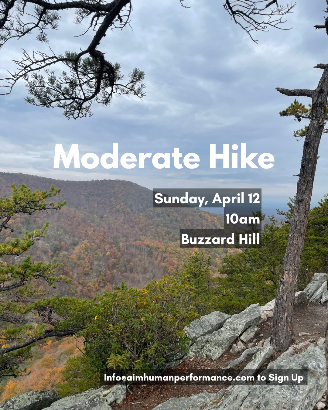 April Moderate Group Hike