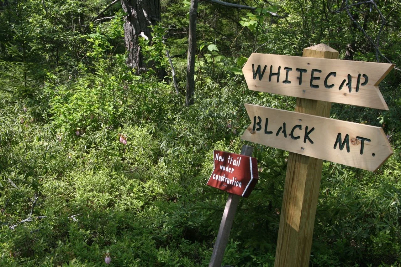 New Trail Signs and Lady Slipper.jpg